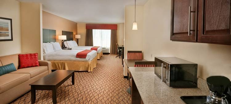 皮索尔洲际智选假日套房酒店(Holiday Inn Express & Suites PEARSALL by IHG)图片