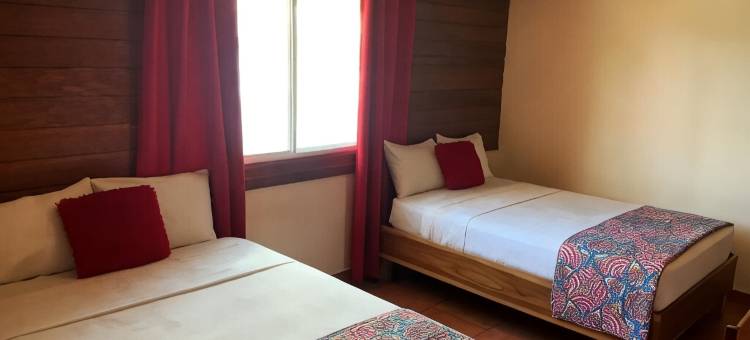 卡耶6号酒店(Hotel Calle 6)图片