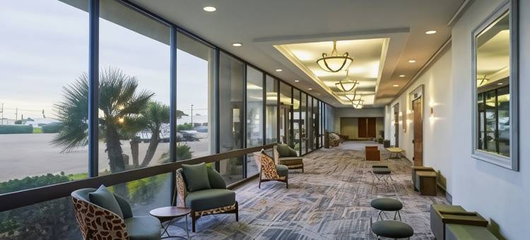 埃尔帕索万豪酒店(Marriott El Paso)图片