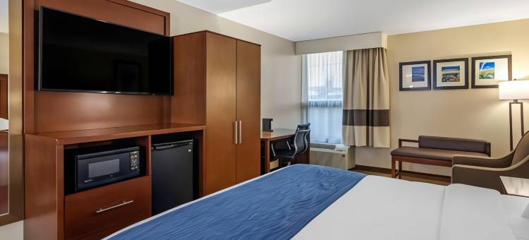 纳什维尔-欧普兰区舒适酒店(Comfort Inn Nashville - Opryland Area)图片