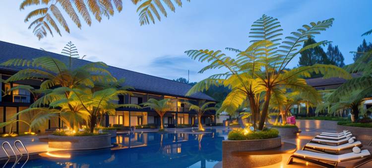 干枝假日度假村酒店(Mikie Holiday Resort & Hotel)图片