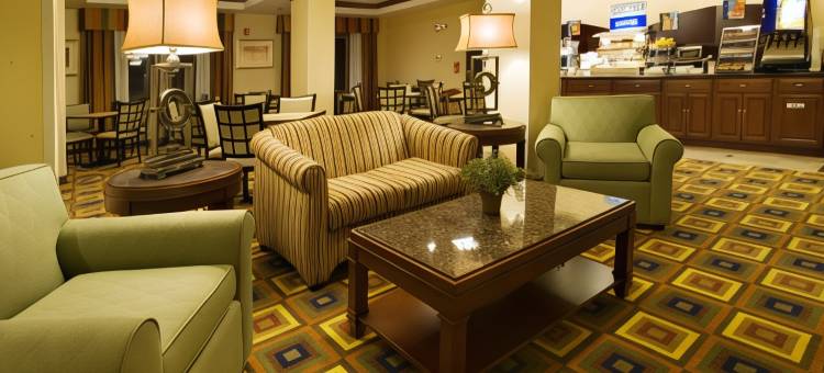 智选假日套房酒店德里斯(Holiday Inn Express & Suites Childress)图片