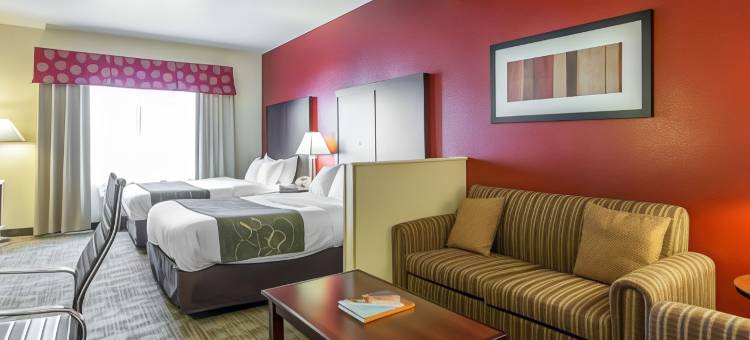 棕榈沙漠I-10号舒适套房酒店(Comfort Suites Palm Desert I-10)图片