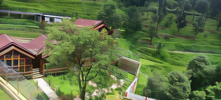 万普拉斯塔度假村(Vanprastha Resorts)图片