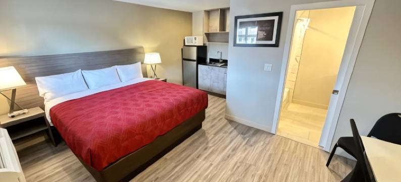 山麓汽车旅馆(Econo Lodge Inn & Suites)图片