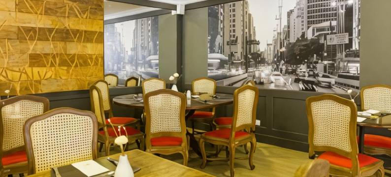 圣保罗阿拉梅达美居酒店(Mercure Sao Paulo Alamedas)图片