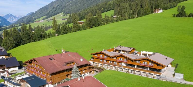 阿尔普霍夫酒店(Hotel Alphof Alpbach)图片