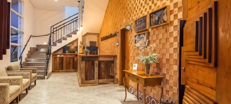 米纳斯风格酒店(Hotel Estilo de Minas)图片