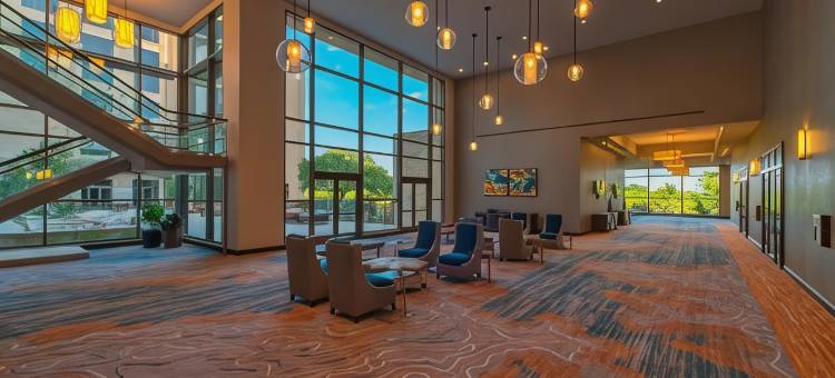 奥斯汀乔治敦喜来登酒店和会议中心(Sheraton Austin Georgetown Hotel & Conference Center)图片