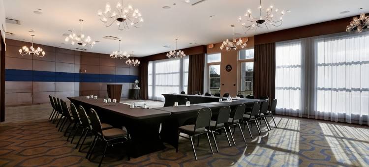 桑德曼签名兰利酒店(Sandman Signature Langley Hotel)图片