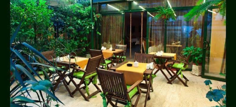 布伊泽尔特莫酒店(Boyuguzel Termal Hotel)图片