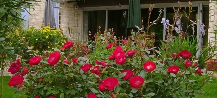 塔威尔客栈(Logis Auberge de Tavel)图片