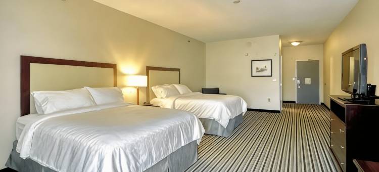 智选假日套房酒店巴达维亚 - 达里恩湖(Holiday Inn Express & Suites Batavia - Darien Lake)图片