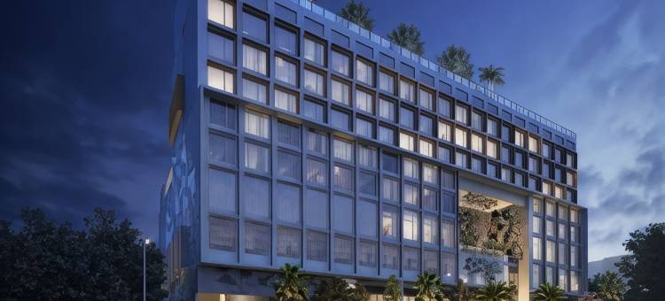 阿罗韦恩伍德迈阿密(Arlo Wynwood Miami)图片