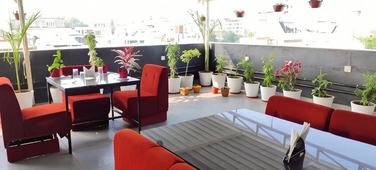 乌代布尔尼坎沙维酒店(Hotel Nikanshvee Udaipur)图片