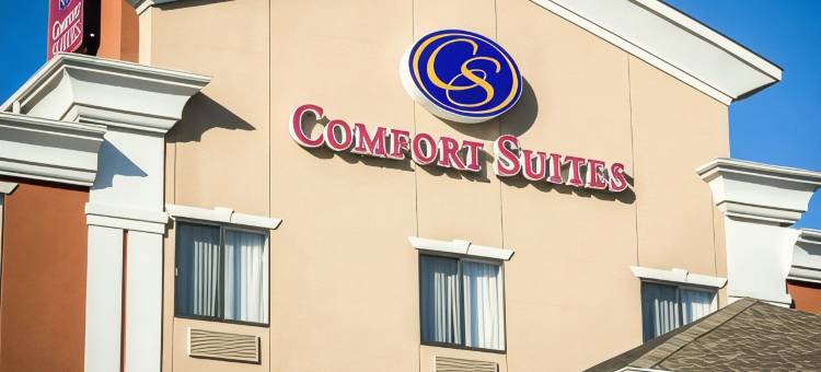 舒适套房酒店(Comfort Suites)图片