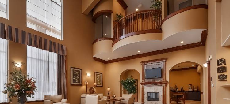 新凯尼贝斯特韦斯特优质套房酒店(Best Western Plus New Caney Inn  Suites)图片