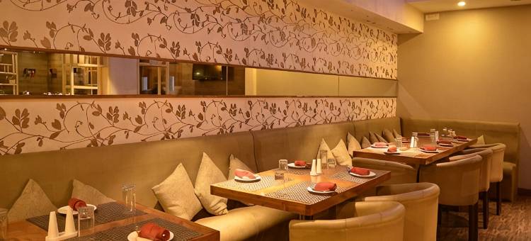 优特萨豪华酒店(Hotel Utsav Deluxe)图片