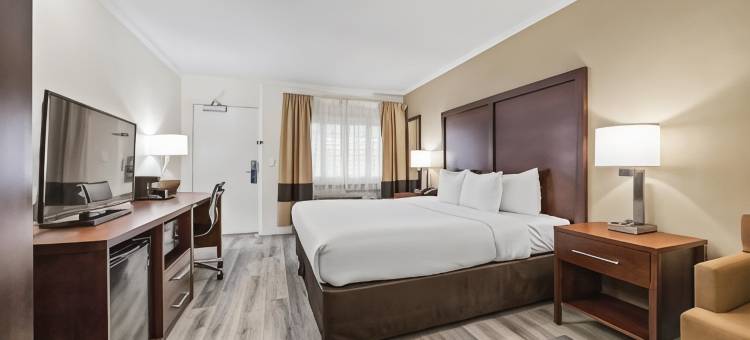 舒适酒店(Comfort Inn)图片