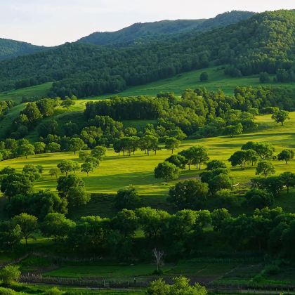 内蒙古锡林郭勒盟锡林郭勒盟草原+达里湖+元上都遗址+乌拉盖草原+布林泉+张家口大境门景区+草原天路+赤峰达达线+贡格尔草原+阿斯哈图石林景区+热阿线+乌兰布统草原+蛤蟆坝景区8日7晚跟团游