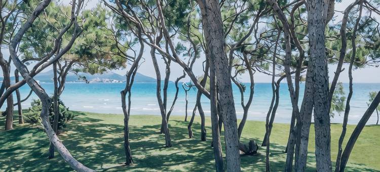 穆罗海滩村伊比利亚之星精选酒店(Iberostar Selection Playa de Muro Village)图片