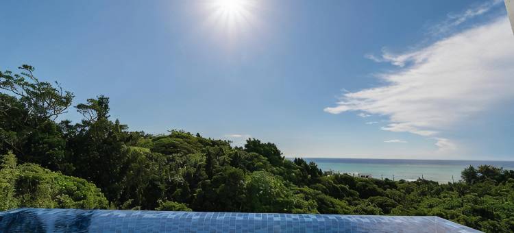冲绳蓝色雷拉豪华度假村(Blue Rela Luxe Resort Okinawa)图片