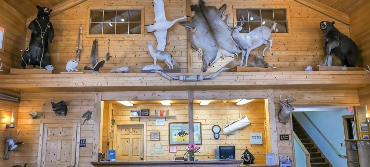 兰奇乡村小屋(Range Country Lodging)图片
