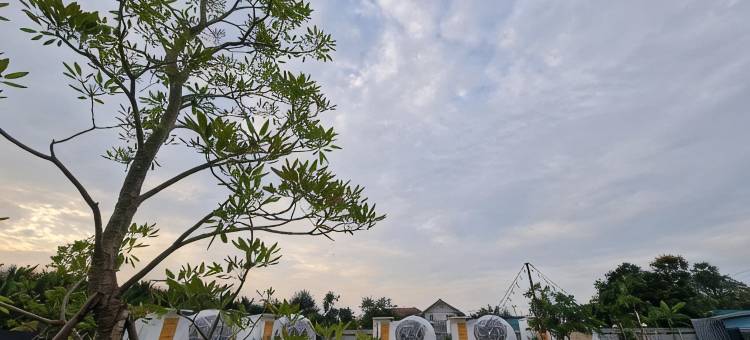 SB 旅馆(SB Inn)图片