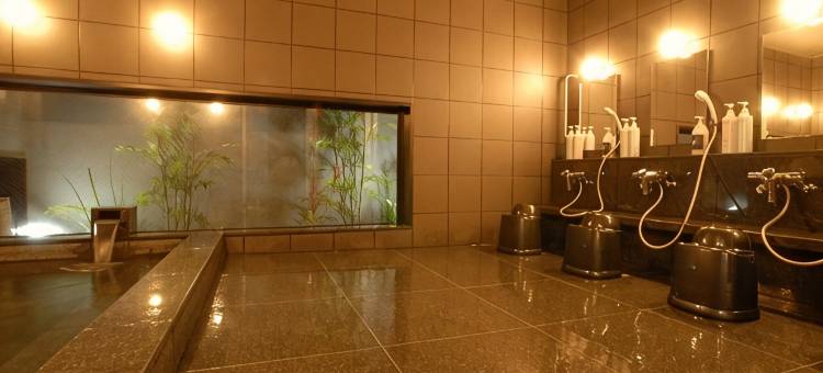 丰田市三河AB酒店(AB Hotel Mikawa Toyota)图片
