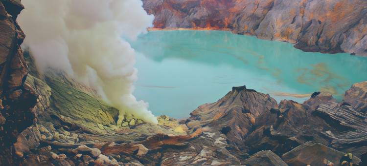 伊真火山小睡旅馆(Snooze Hostel Ijen)图片