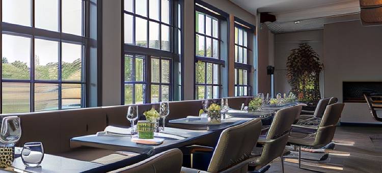 迪努尔德弗莱彻酒店(Fletcher Boutique Hotel Duinoord)图片