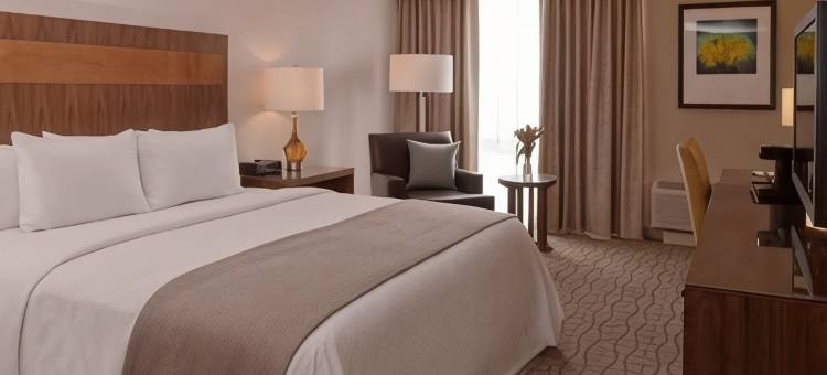匹兹堡绿树希尔顿逸林酒店(DoubleTree by Hilton Hotel Pittsburgh - Green Tree)图片