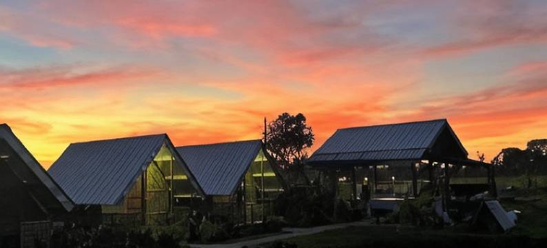 巴端薄荷岛爵士农场旅馆(Jazz Ferme Inn Batuan Bohol)图片