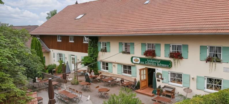 施万登祖戈德恩酒店(Zum Goldenen Schwanen)图片