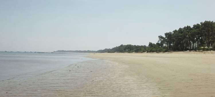 索尔特罗亚酒店 - 福斯多佐渡(Hotel Soltroia - Foz Do Sado)图片