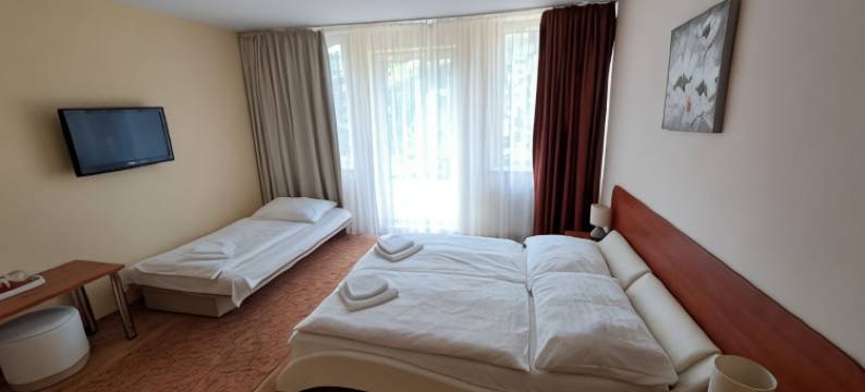 佐尼卡旅馆(Penzion Zornicka)图片