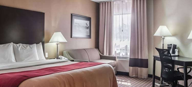 舒适酒店(Comfort Inn)图片