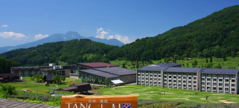 东急斑尾度假村七巧板酒店(Madarao Tokyu Resort Hotel Tangram)图片