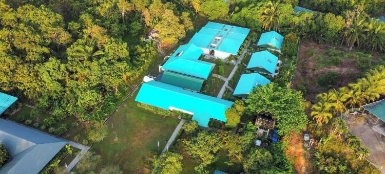 塔尼尼锡必洛克(原名自然小屋锡必洛克)(Tanini Sepilok Formerly Known As Nature Lodge Sepilok)图片