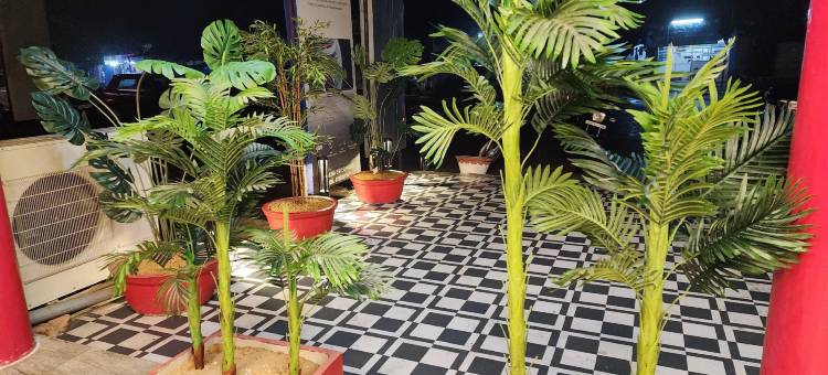 阿南达宝卡洛城市酒店(Hotel Ananda Bokaro City)图片