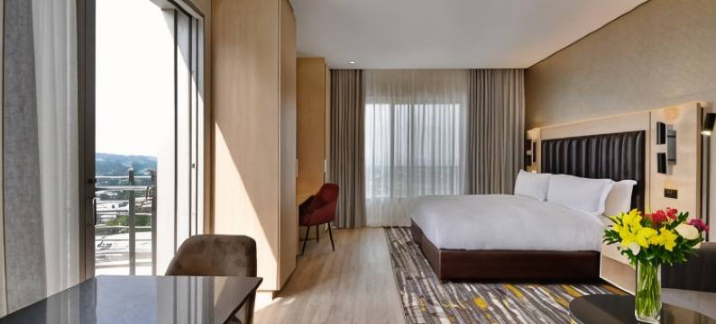 桑顿酒店(@Sandton Hotel)图片