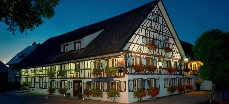 阿德勒有机酒店(Bio-Hotel Adler/Restaurant)图片