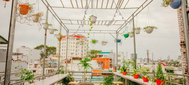 哈罗西贡家庭旅馆(Hello SaiGon Homestay)图片