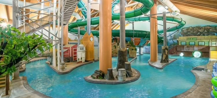 明尼阿波利斯 - 奥茨戈花园温德姆酒店(Wyndham Garden Otsego-Minneapolis)图片