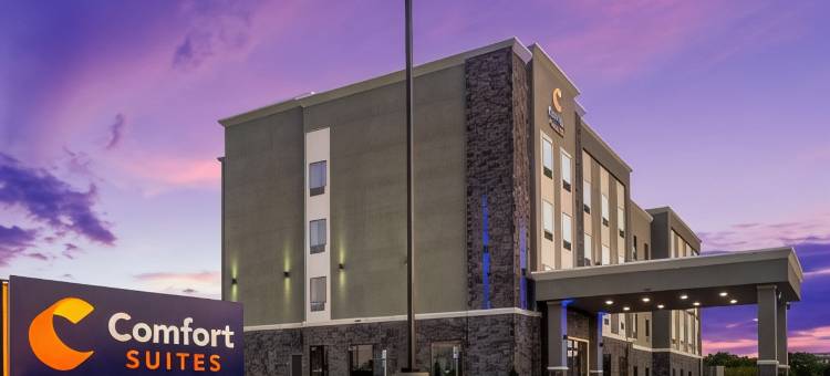 迪索托-达拉斯南舒适套房酒店(Comfort Suites DeSoto Dallas South)图片