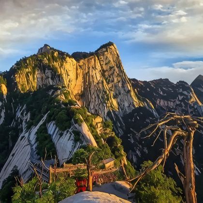 西安兵马俑+华清池+华山+壶口瀑布5日跟团游