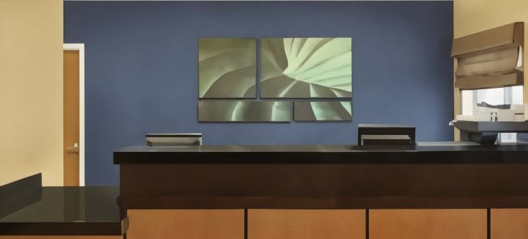 尚佩恩万枫酒店(Fairfield Inn & Suites Champaign)图片