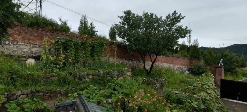 二牛特色民宿(土芝线分店)图片