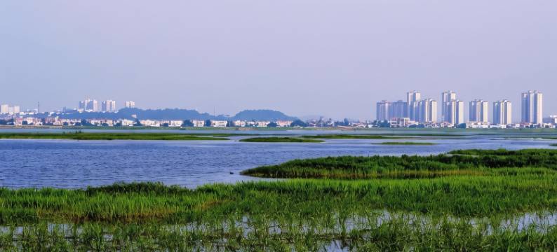 湘悅民宿(开元东路分店)图片