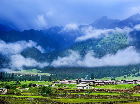 云栖山居(鲁朗扎西岗村店)